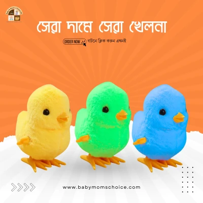 Baby Chicken Toy